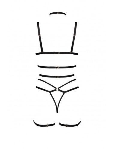 Ensemble harnais et lingerie Cozmo